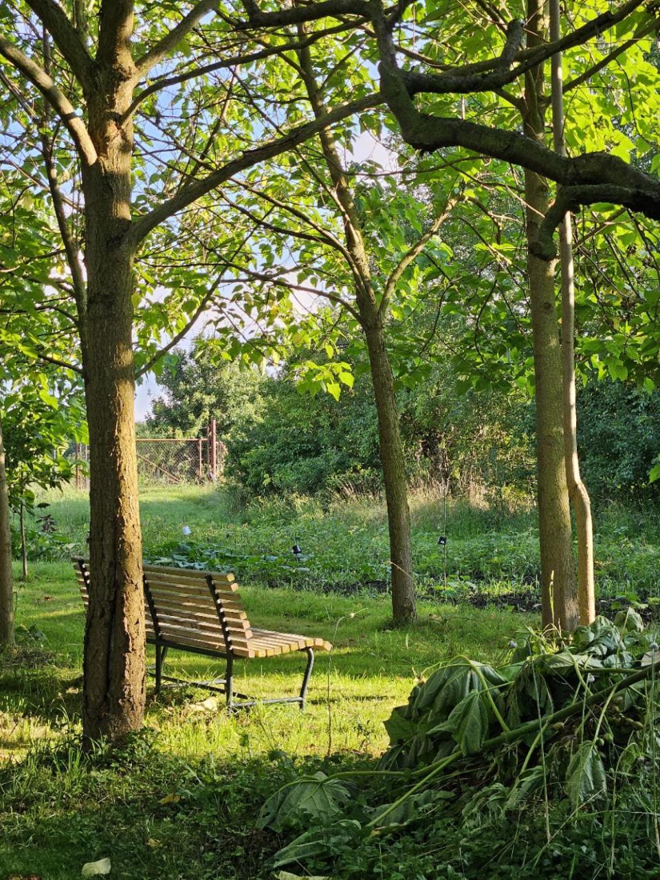 Gartenhaus Schlanstedt Huy Exterior photo